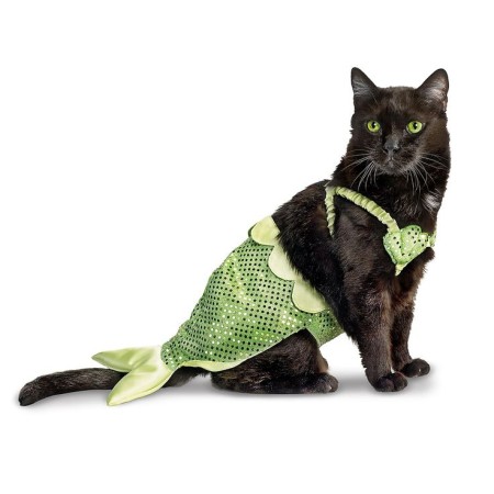 Funniest Pet Costumes! Is your pet ready for Halloween? - Marrying