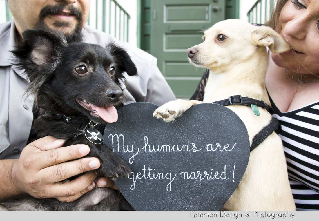 My humans are getting married, Peterson Design and Photography